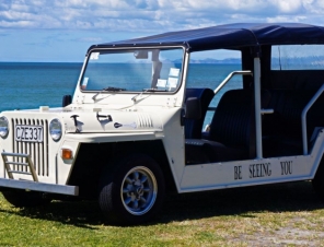 Mini Moke self drive rental cars in Napier